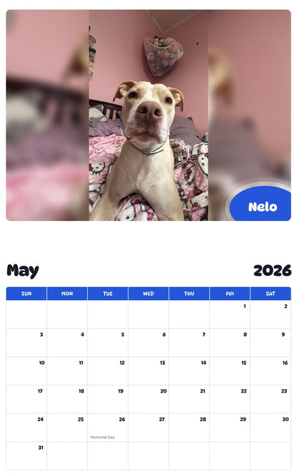 2026 - 2027 Nelo - Pawidols Pet Calendar