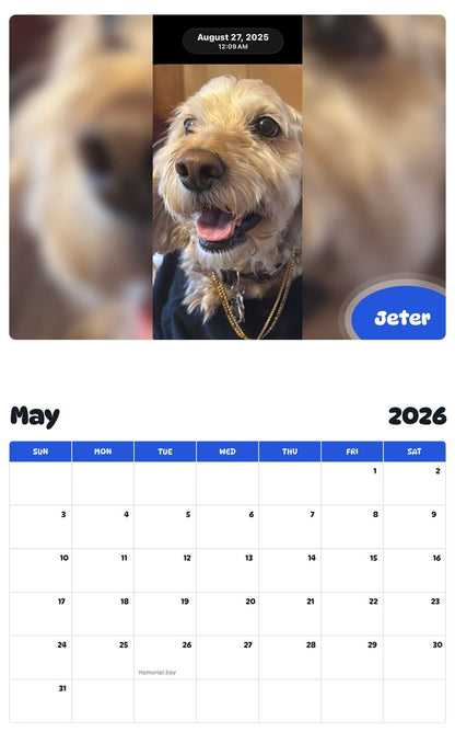 2026 - 2027 Jeter - Pawidols Pet Calendar
