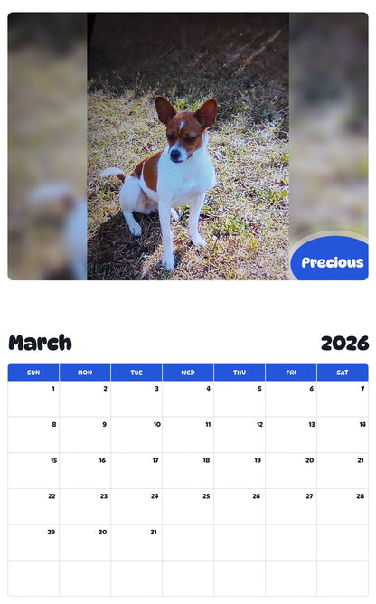 November 2025 - October 2026 Precious - Pawidols Pet Calendar