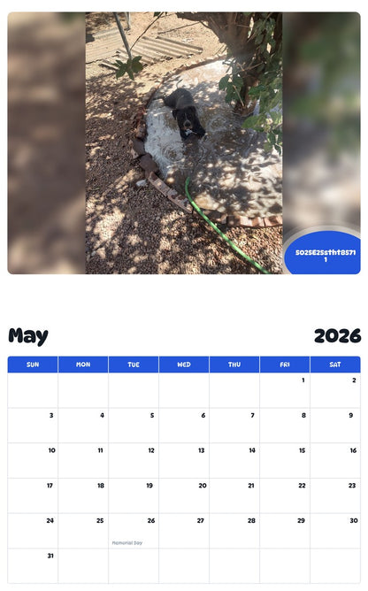 2026 - 2027 5025E25stht8571 1 - Pawidols Pet Calendar