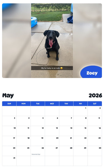 2026 - 2027 Zoey - Pawidols Pet Calendar