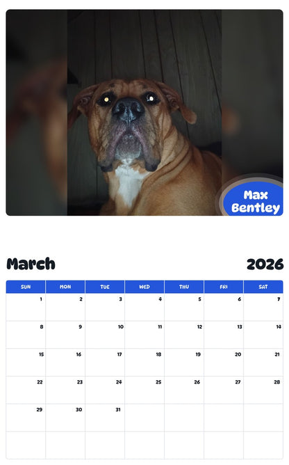 November 2025 - October 2026 Max Bentley - Pawidols Pet Calendar