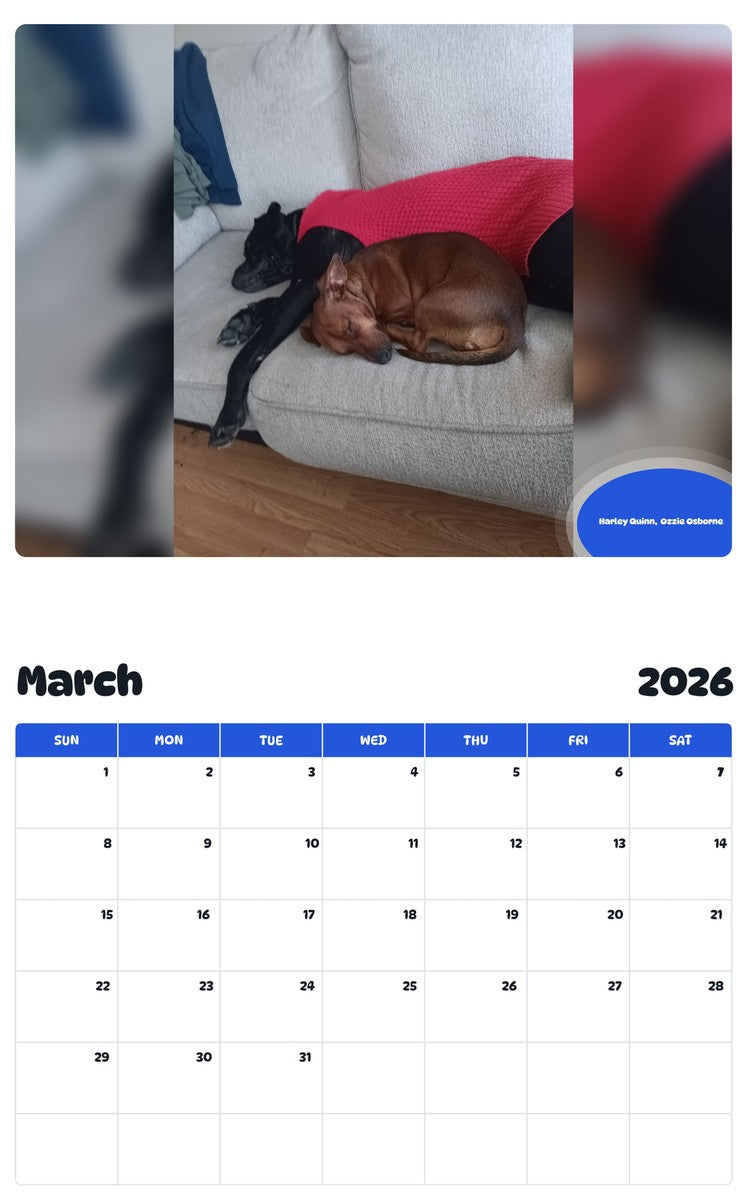 November 2025 - October 2026 Harley Quinn,  Ozzie Osborne - Pawidols Pet Calendar