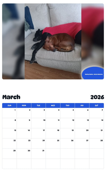 November 2025 - October 2026 Harley Quinn,  Ozzie Osborne - Pawidols Pet Calendar