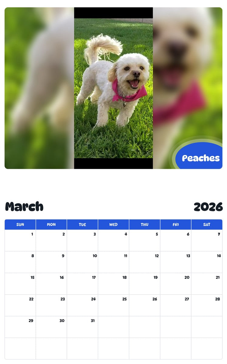 November 2025 - October 2026 Peaches - Pawidols Pet Calendar