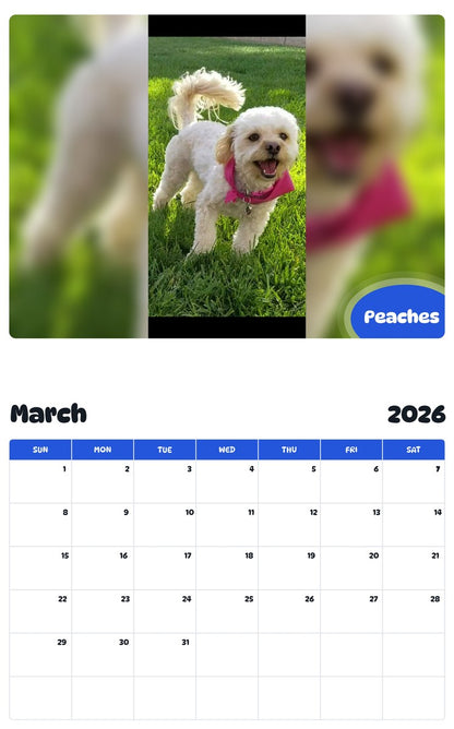 November 2025 - October 2026 Peaches - Pawidols Pet Calendar