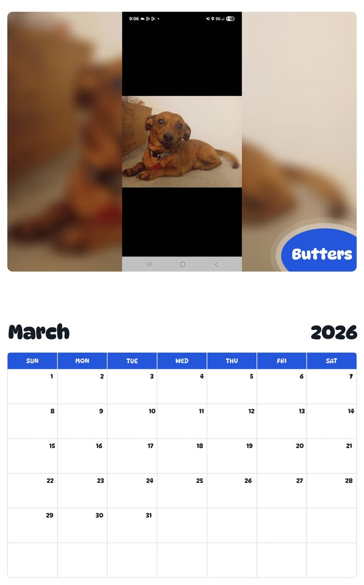 November 2025 - October 2026 Butters - Pawidols Pet Calendar