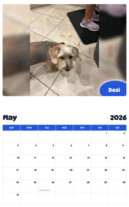 2026 - 2027 Desi - Pawidols Pet Calendar