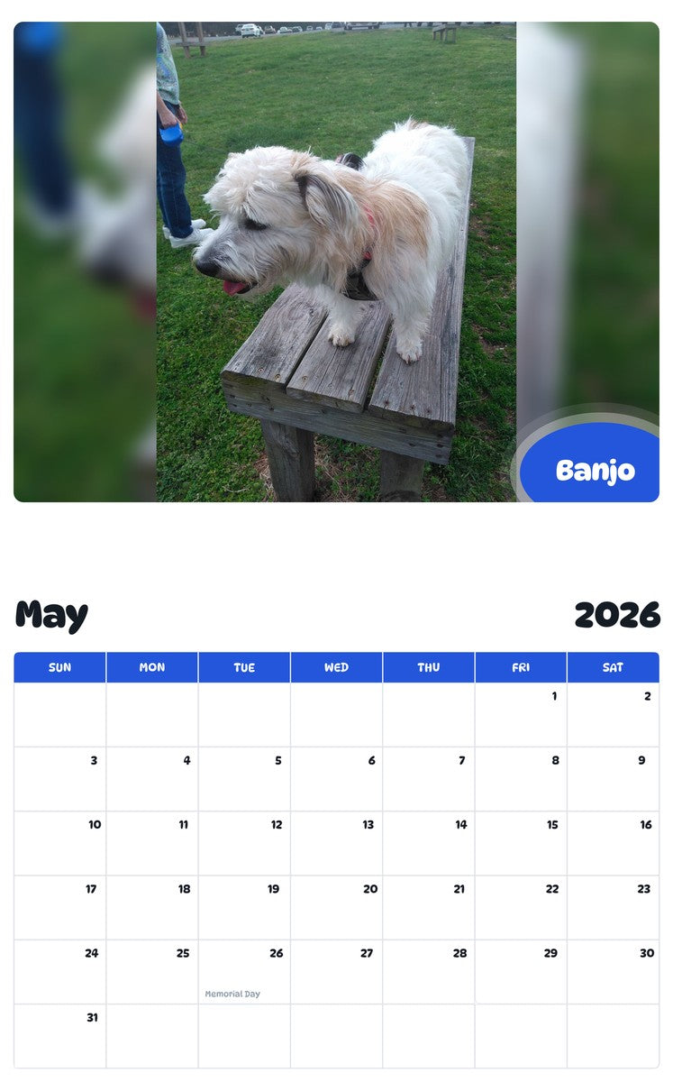 2026 - 2027 Banjo - Pawidols Pet Calendar