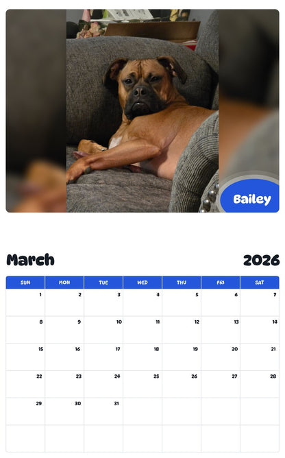November 2025 - October 2026 Bailey - Pawidols Pet Calendar