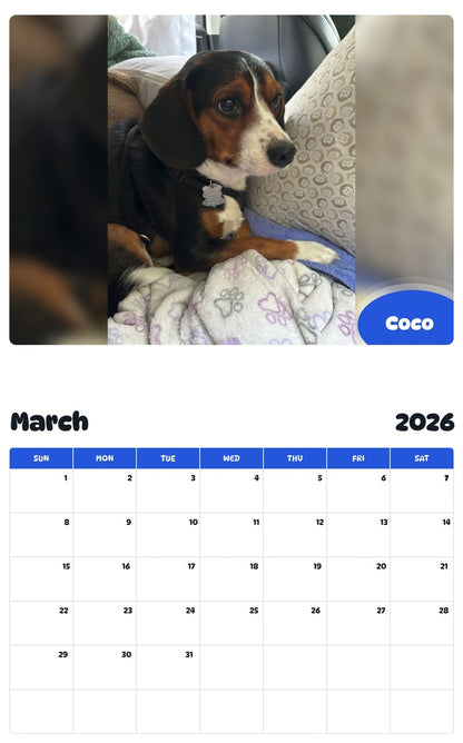 November 2025 - October 2026 Coco - Pawidols Pet Calendar