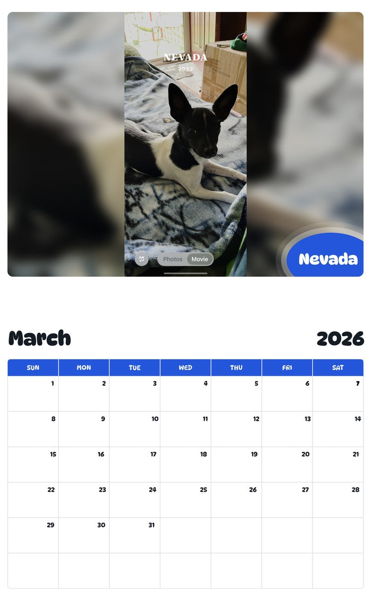 November 2025 - October 2026 Nevada - Pawidols Pet Calendar