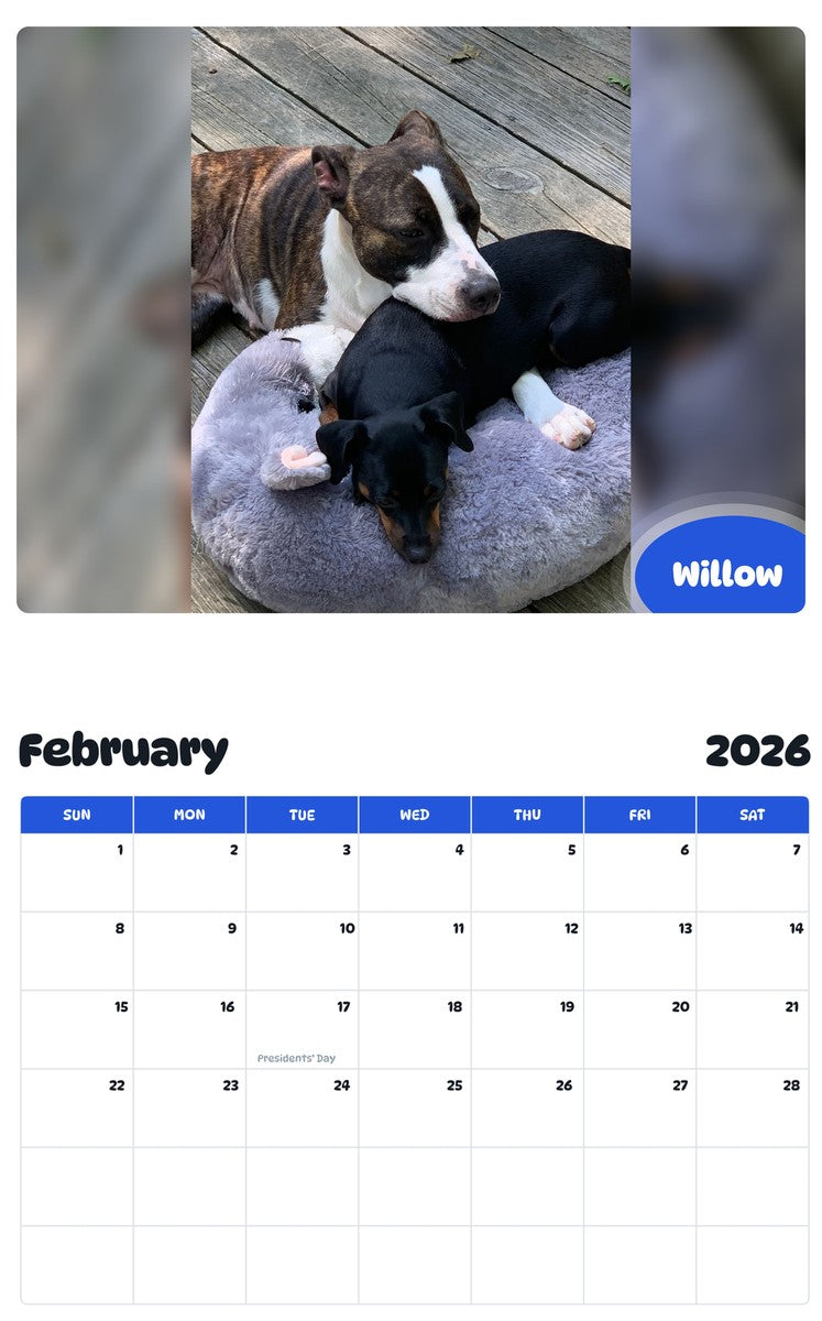 October 2025 - September 2026 Willow - Pawidols Pet Calendar