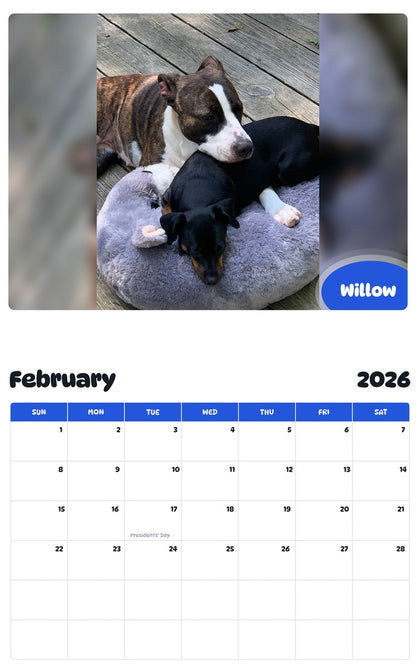 October 2025 - September 2026 Willow - Pawidols Pet Calendar