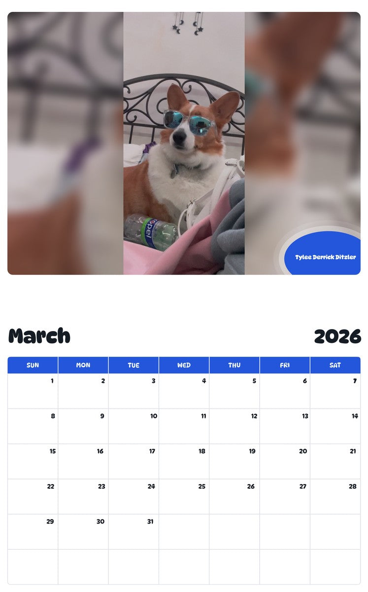 November 2025 - October 2026 Tylee Derrick Ditzler - Pawidols Pet Calendar