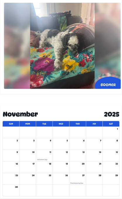 July 2025 - June 2026 Boomer - Pawidols Pet Calendar
