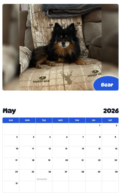2026 - 2027 Bear - Pawidols Pet Calendar