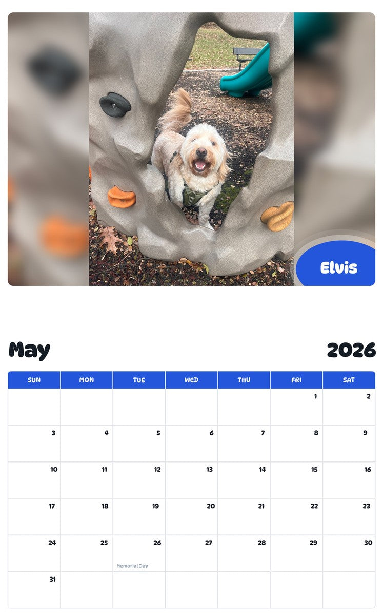 2026 - 2027 Elvis - Pawidols Pet Calendar