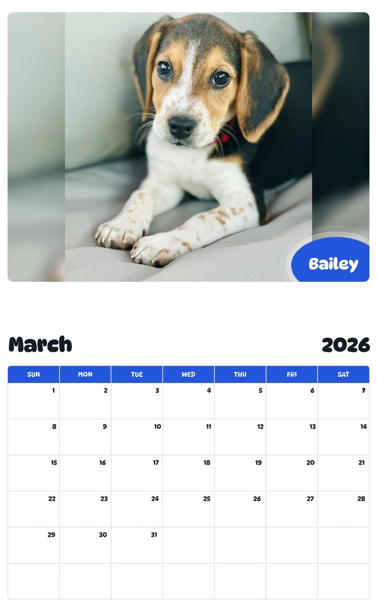 November 2025 - October 2026 Bailey - Pawidols Pet Calendar