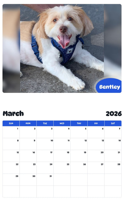 November 2025 - October 2026 Bentley - Pawidols Pet Calendar