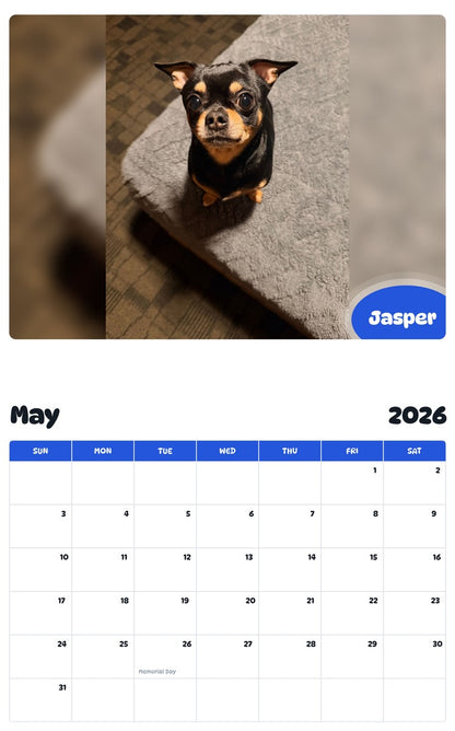 2026 - 2027 Jasper - Pawidols Pet Calendar