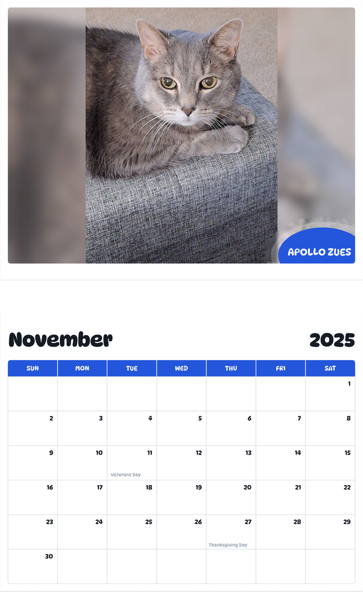 July 2025 - June 2026 Apollo Zues - Pawidols Pet Calendar