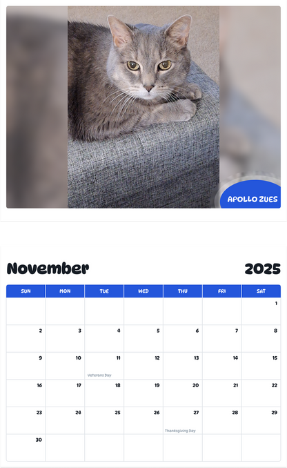 July 2025 - June 2026 Apollo Zues - Pawidols Pet Calendar