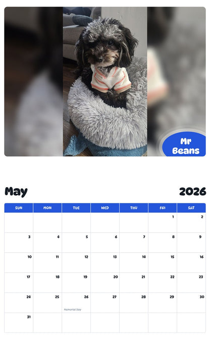 2026 - 2027 Mr Beans - Pawidols Pet Calendar