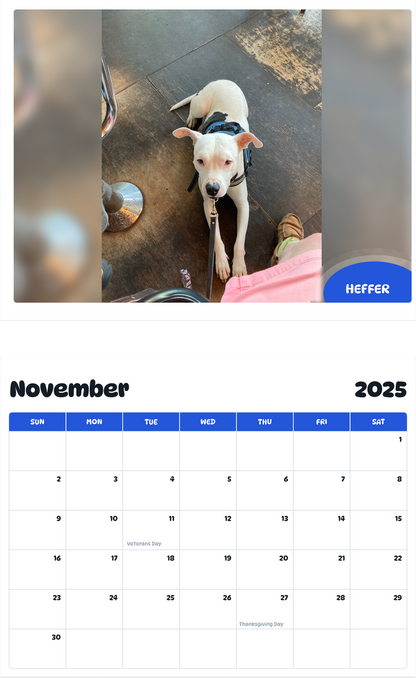 July 2025 - June 2026 HEFFER - Pawidols Pet Calendar