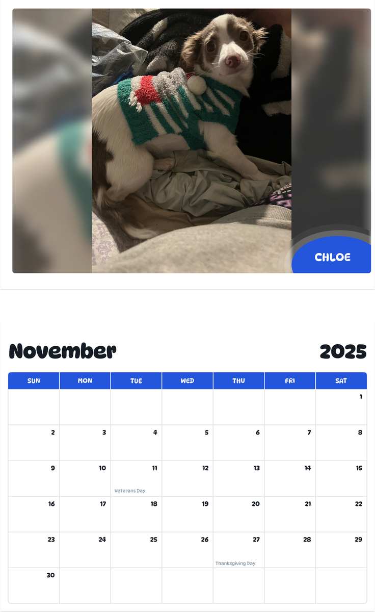 July 2025 - June 2026 Chloe - Pawidols Pet Calendar