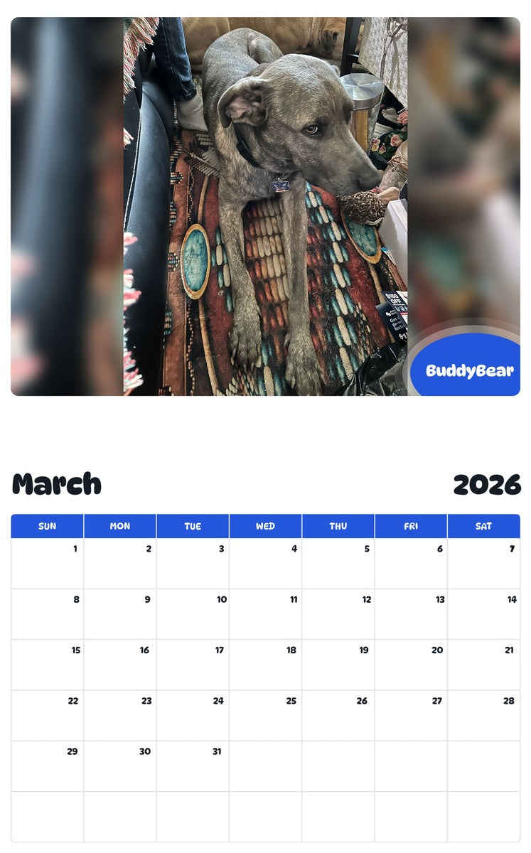 November 2025 - October 2026 BuddyBear - Pawidols Pet Calendar