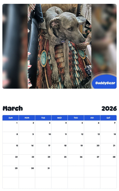 November 2025 - October 2026 BuddyBear - Pawidols Pet Calendar