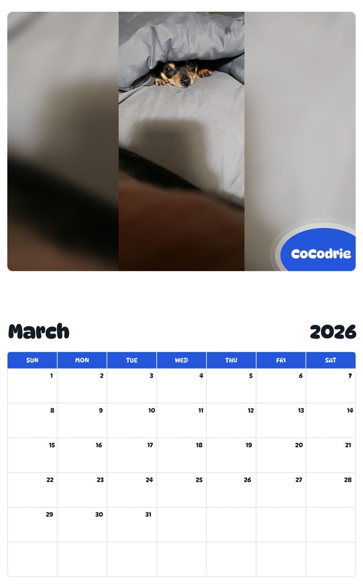 November 2025 - October 2026 CoCodrie - Pawidols Pet Calendar