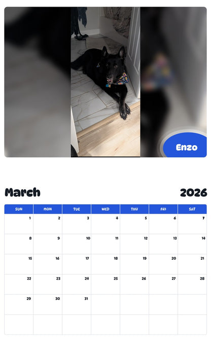 November 2025 - October 2026 Enzo - Pawidols Pet Calendar