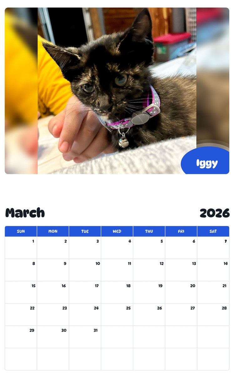 November 2025 - October 2026 Iggy - Pawidols Pet Calendar