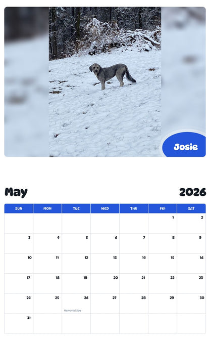 2026 - 2027 Josie - Pawidols Pet Calendar