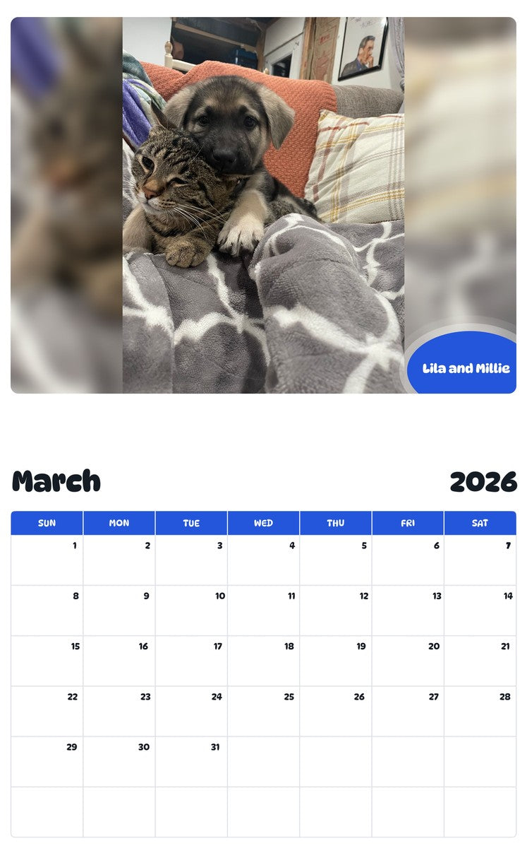 November 2025 - October 2026 Lila and Millie - Pawidols Pet Calendar