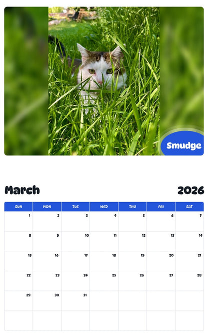 November 2025 - October 2026 Smudge - Pawidols Pet Calendar