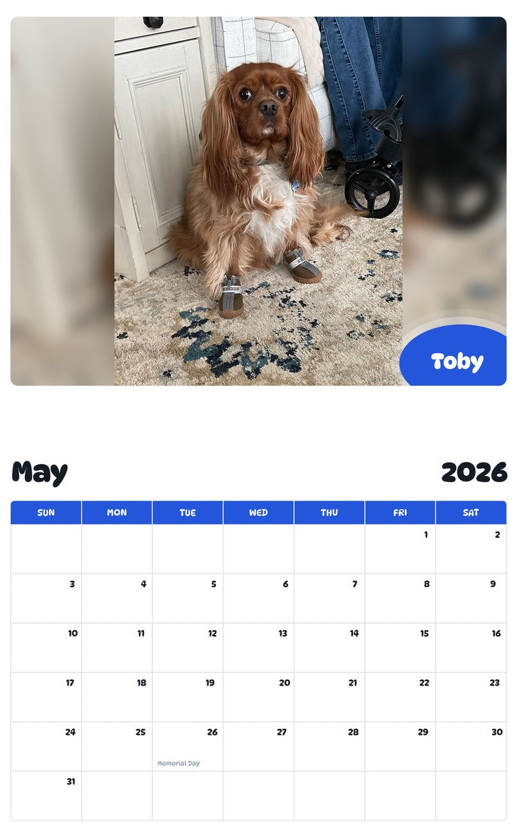 2026 - 2027 Toby - Pawidols Pet Calendar