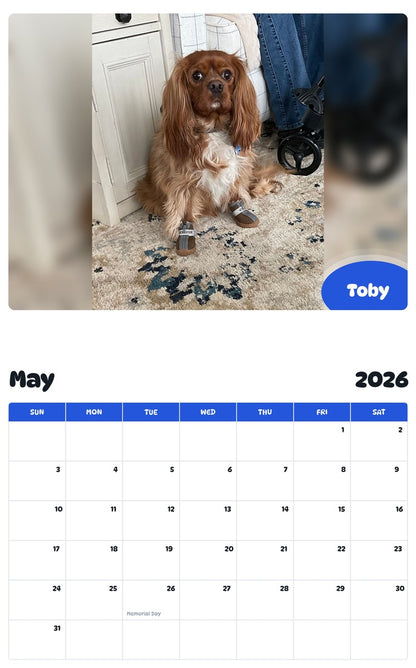 2026 - 2027 Toby - Pawidols Pet Calendar