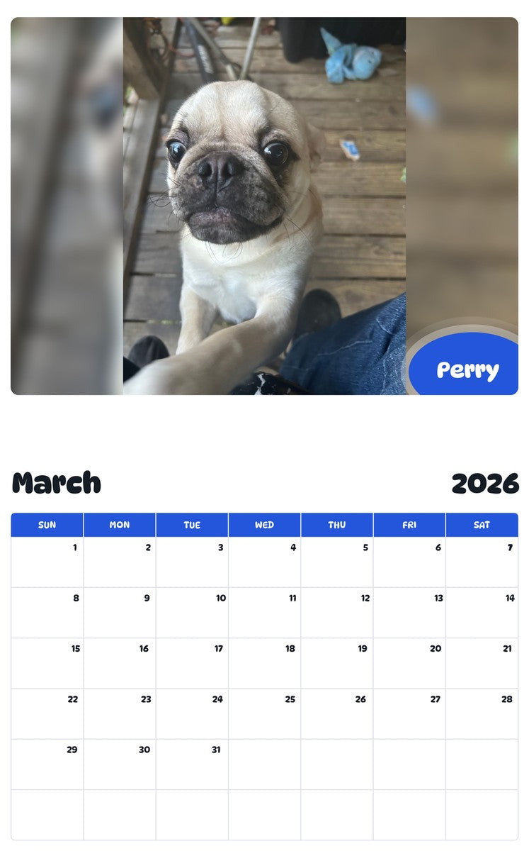 November 2025 - October 2026 Perry - Pawidols Pet Calendar