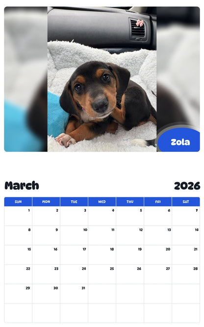 November 2025 - October 2026 Zola - Pawidols Pet Calendar