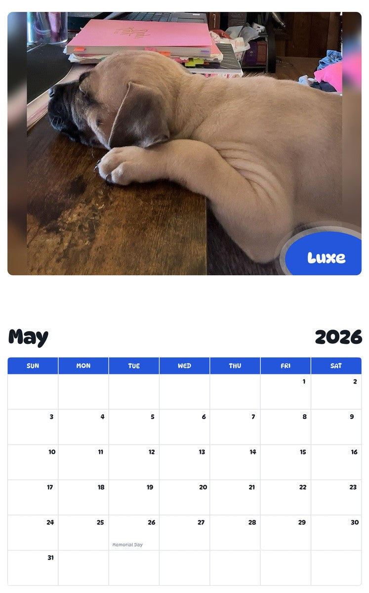 2026 - 2027 Luxe - Pawidols Pet Calendar