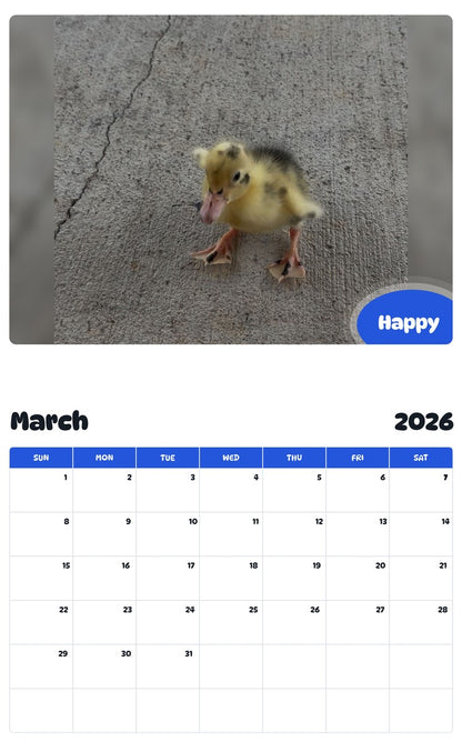 November 2025 - October 2026 Happy - Pawidols Pet Calendar
