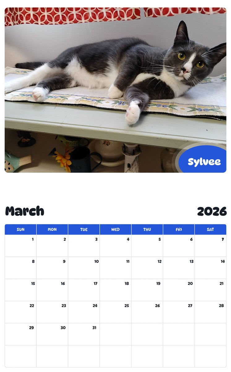November 2025 - October 2026 Sylvee - Pawidols Pet Calendar
