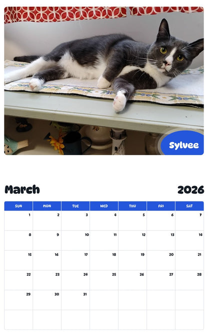November 2025 - October 2026 Sylvee - Pawidols Pet Calendar