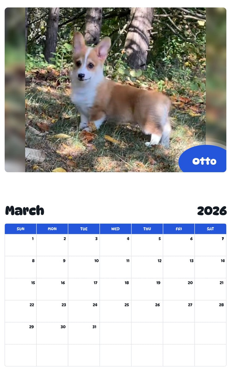 November 2025 - October 2026 Otto - Pawidols Pet Calendar