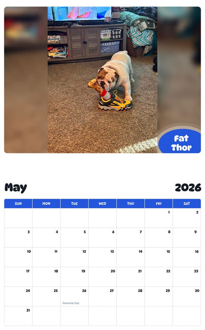 2026 - 2027 Fat Thor - Pawidols Pet Calendar