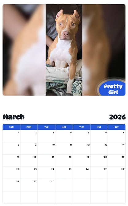 November 2025 - October 2026 Pretty Girl - Pawidols Pet Calendar