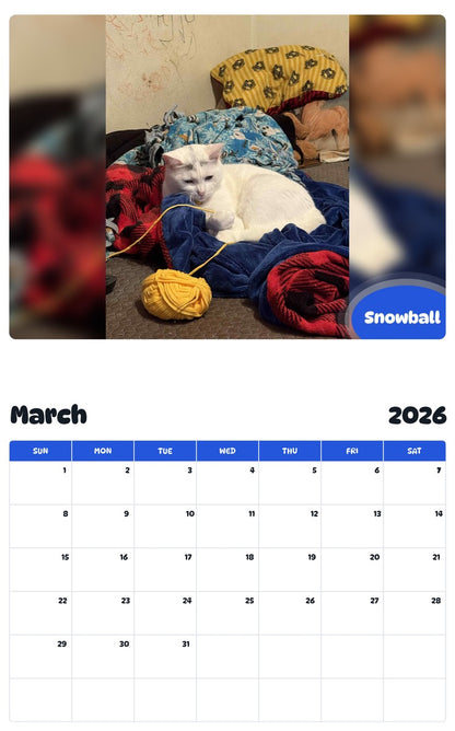 November 2025 - October 2026 Snowball - Pawidols Pet Calendar